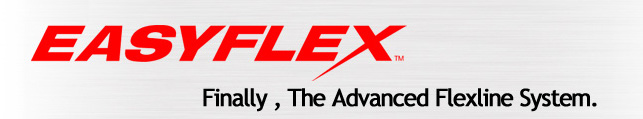 /www.easyflexusa.com